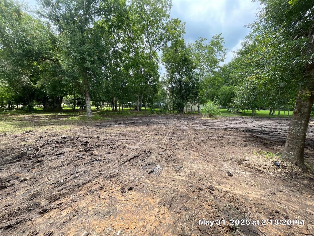 10371 County Road 909, Alvin, Texas image 3