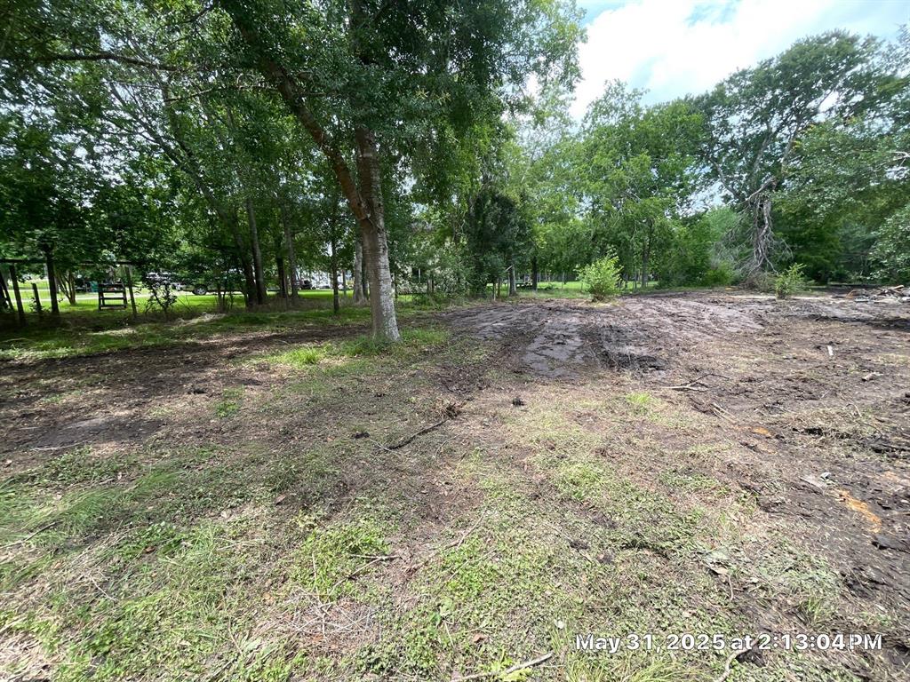 10371 County Road 909, Alvin, Texas image 1