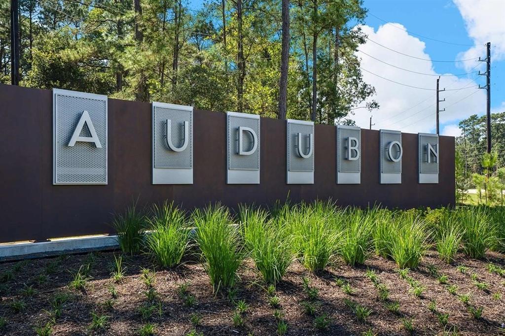 455 Audubons Shearwater Way, Magnolia, Texas image 9