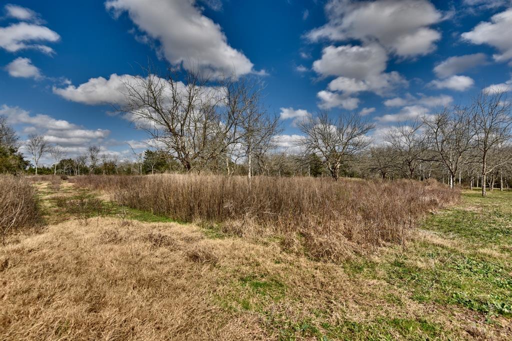 TBD Winding Branch Lot 22, Chappell Hill, Texas image 12