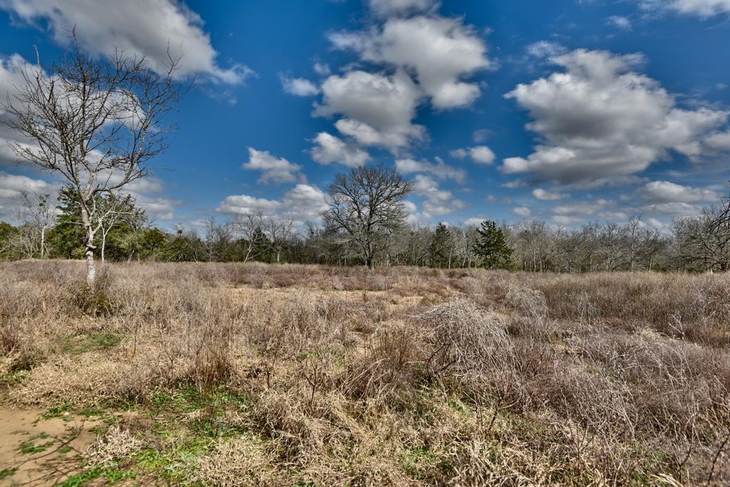 TBD Winding Branch Lot 22, Chappell Hill, Texas image 9