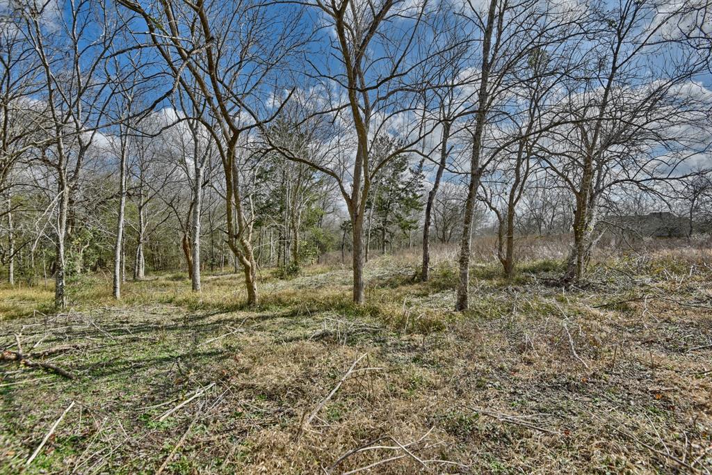 TBD Winding Branch Lot 22, Chappell Hill, Texas image 7