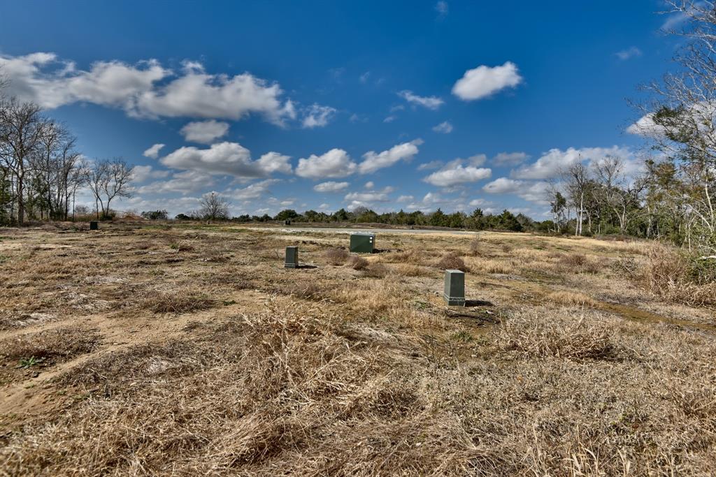 TBD Winding Branch Lot 22, Chappell Hill, Texas image 14