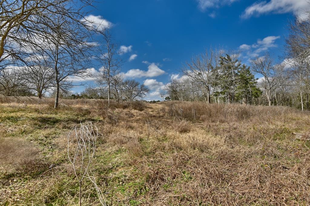 TBD Winding Branch Lot 22, Chappell Hill, Texas image 8