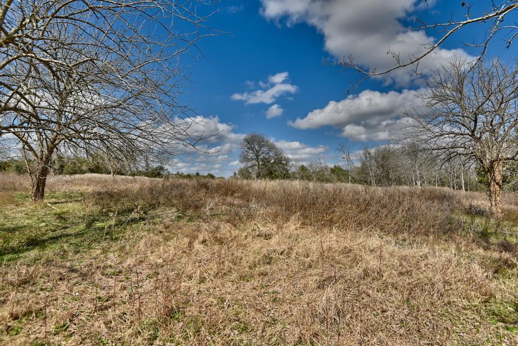 TBD Winding Branch Lot 22, Chappell Hill, Texas image 10