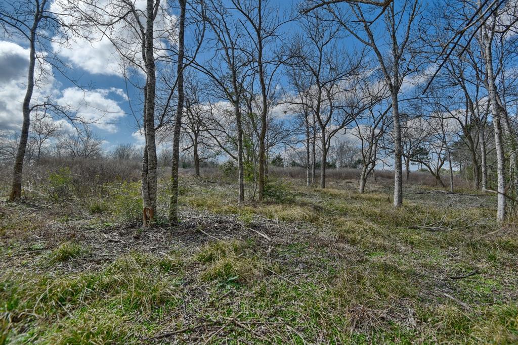TBD Winding Branch Lot 22, Chappell Hill, Texas image 4