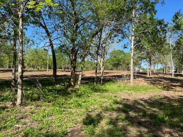 TBD Winding Branch Lot 22, Chappell Hill, Texas image 3