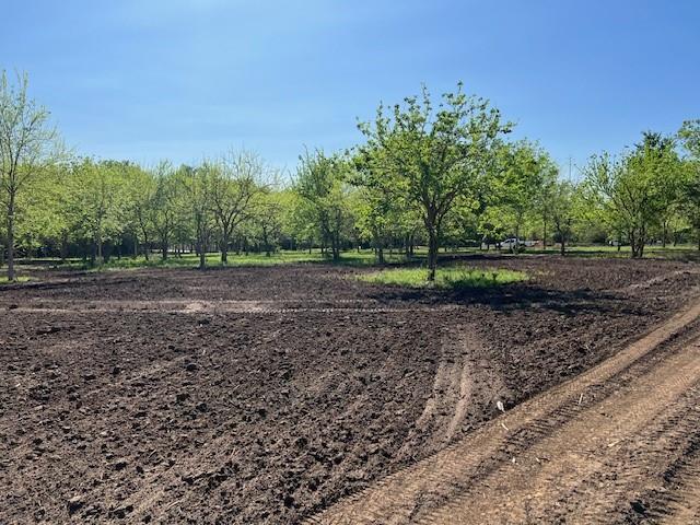 TBD Winding Branch Lot 22, Chappell Hill, Texas image 2
