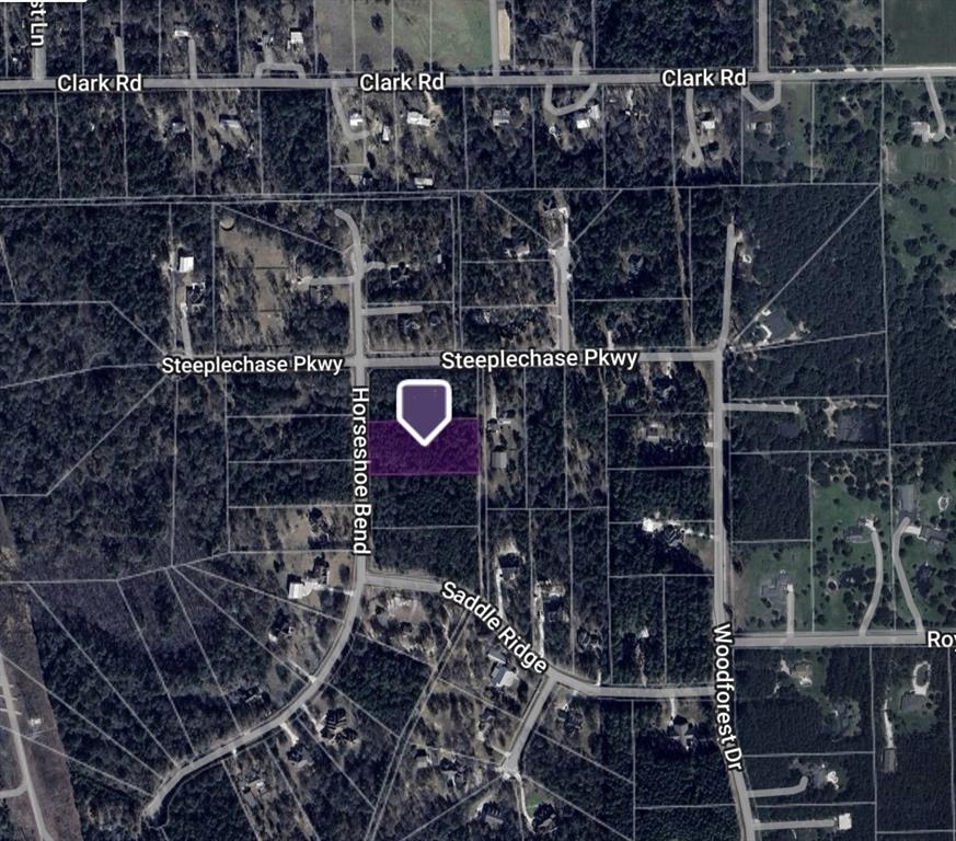 000 Horseshoe Bend, Waller, Texas image 3