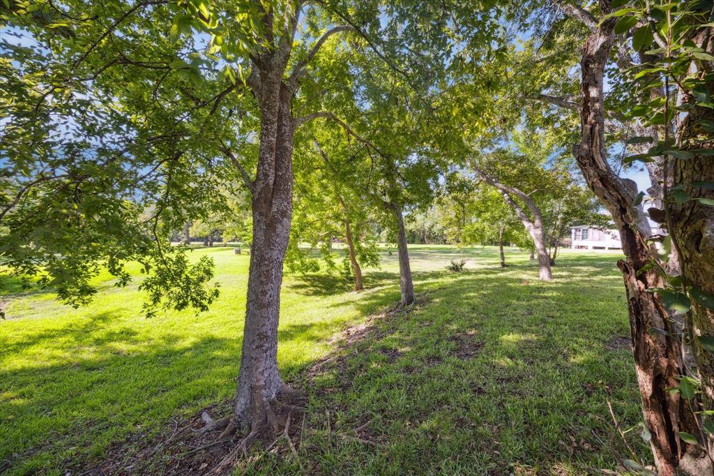 708 Seelhorst Street, Brenham, Texas image 11