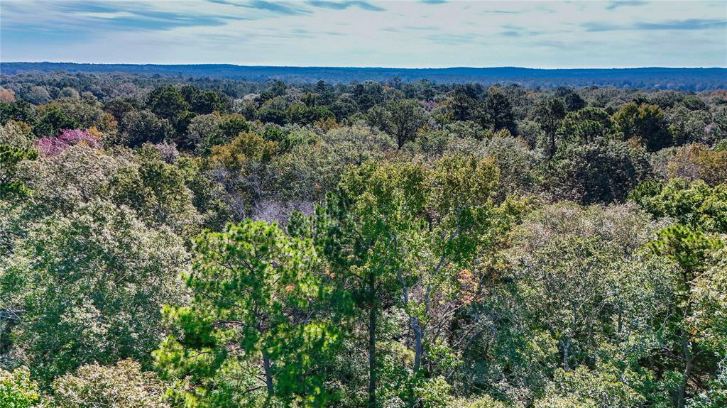 000000 Us Hwy 190, Jasper, Texas image 9