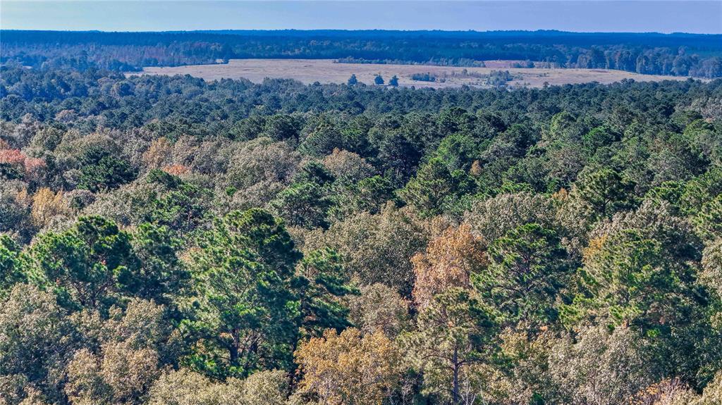 000000 Us Hwy 190, Jasper, Texas image 37