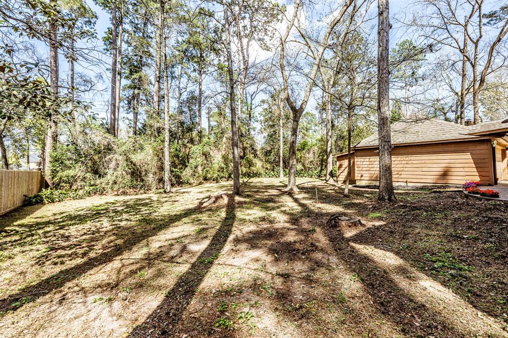18 Village Hill Drive, Conroe, Texas image 38
