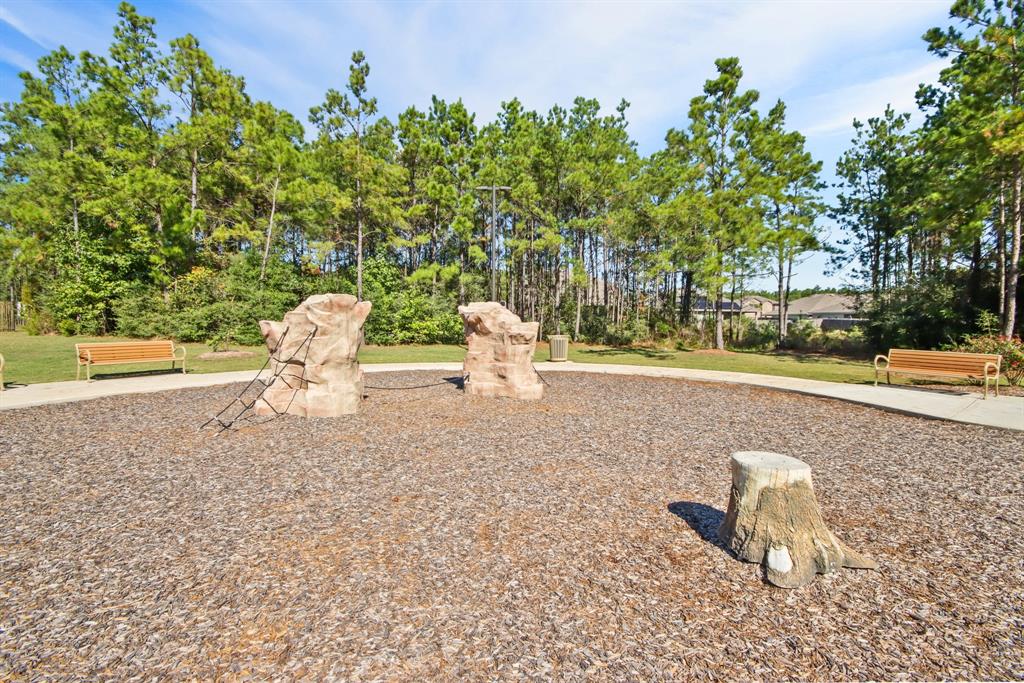 18705 Goldbach Road, New Caney, Texas image 25