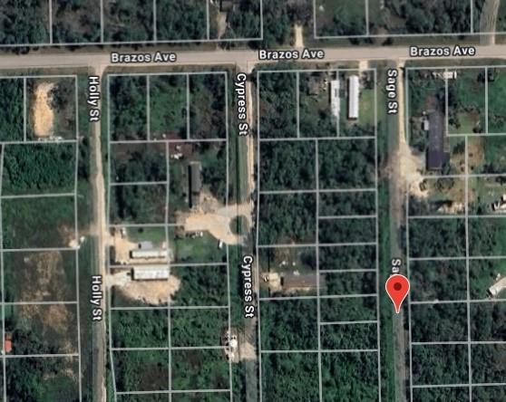 Sage Street, Rosharon, Texas image 6