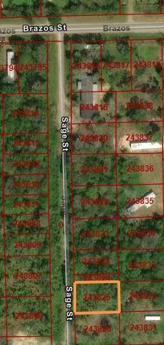 Sage Street, Rosharon, Texas image 1