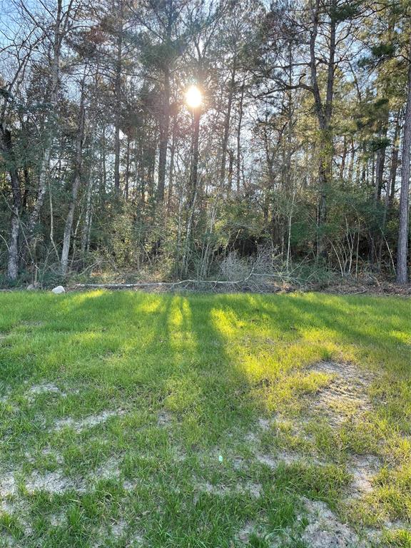 00 Saratoga Woods