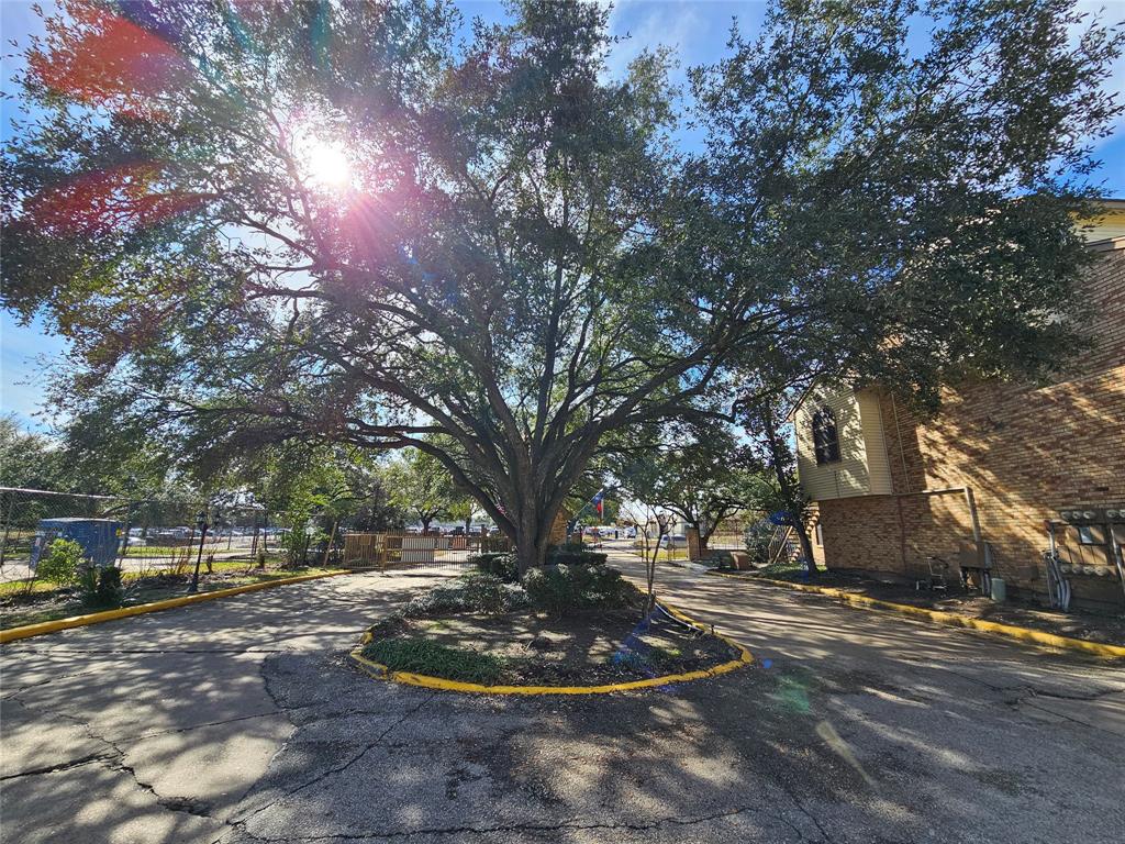 29742 Geneva Drive, Spring, Texas image 23