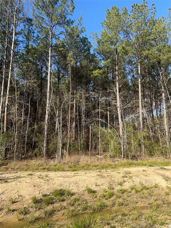 1622 Road 66115, Dayton, Texas image 1