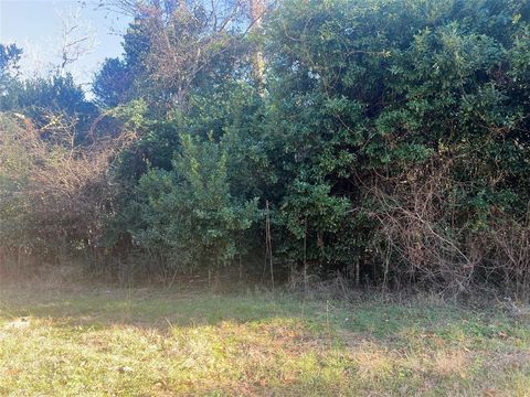 Photo of 150 Lannie Boulevard, Livingston, TX 77351 (MLS # 37612655)