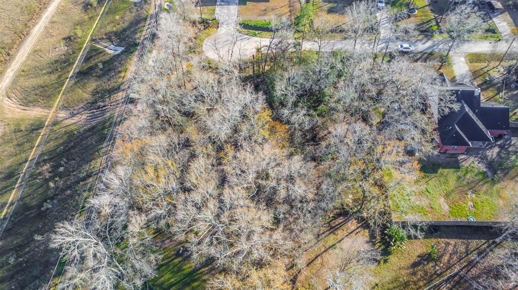 00 Flower Ridge, Porter, Texas image 5