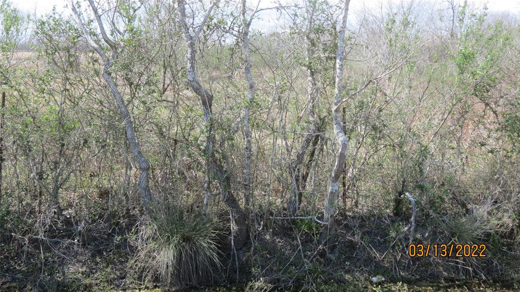 Biering Road, Hitchcock, Texas image 6