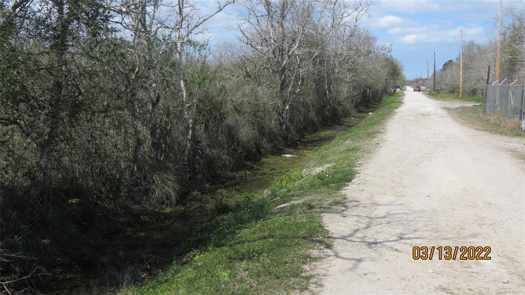 Biering Road, Hitchcock, Texas image 2