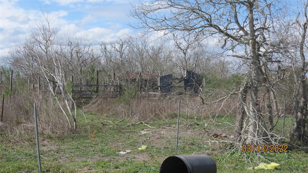 Biering Road, Hitchcock, Texas image 11