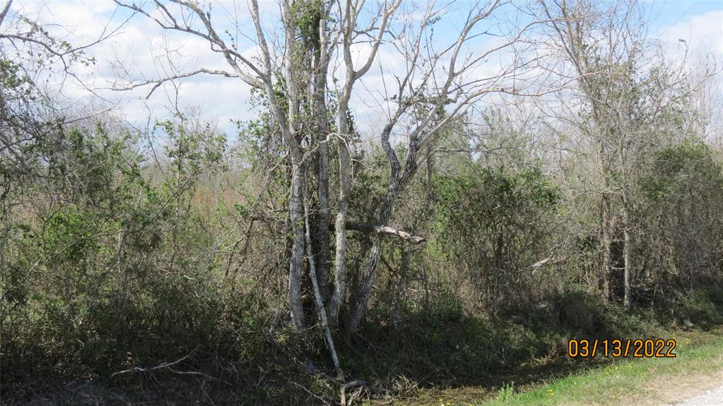 Biering Road, Hitchcock, Texas image 7