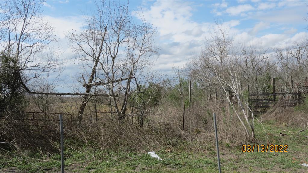 Biering Road, Hitchcock, Texas image 10