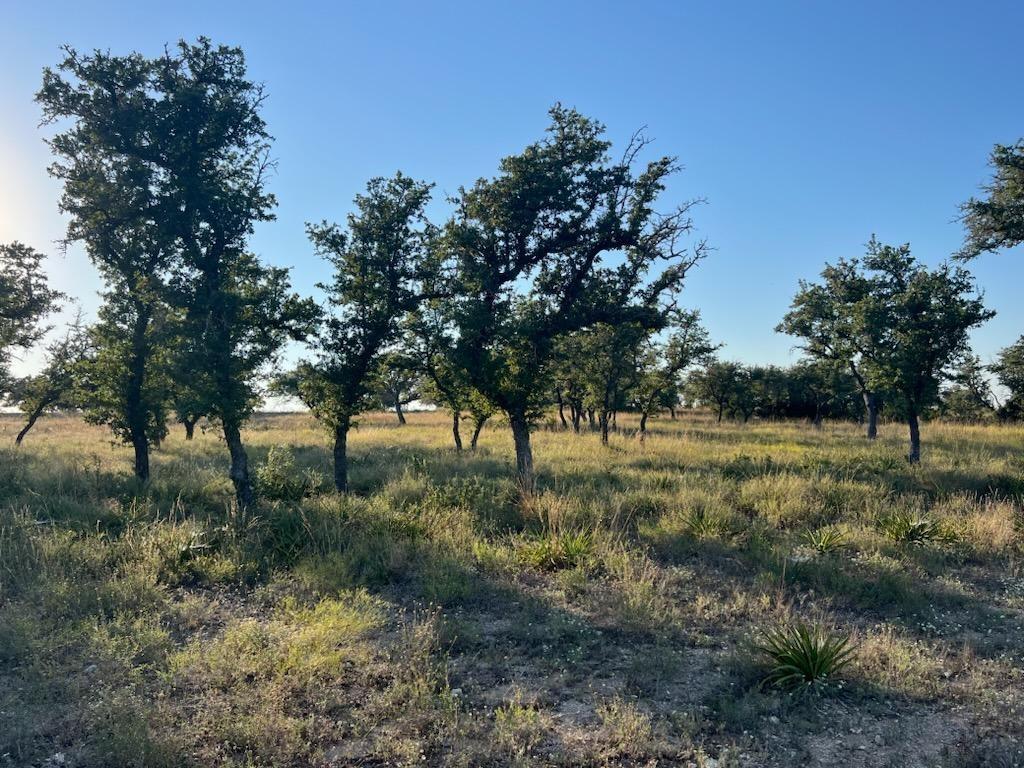 12199 Bonanza Place, Brookshire, Texas image 6