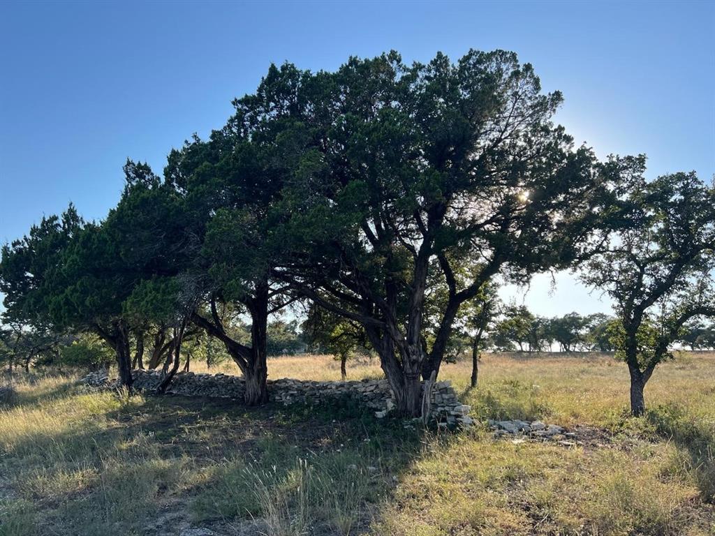 12199 Bonanza Place, Brookshire, Texas image 4