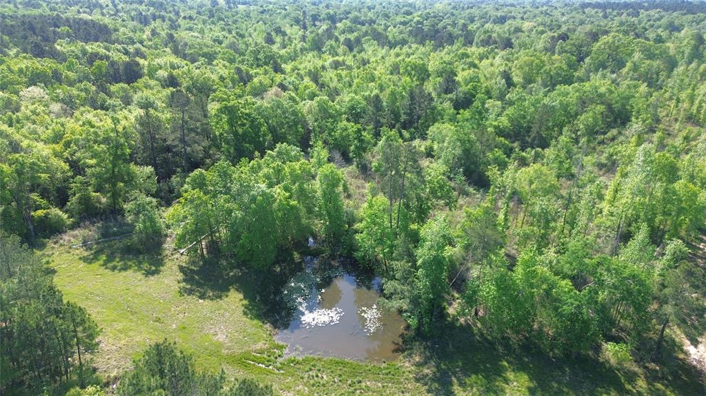 191 Fsr 587, Kennard, Texas image 3