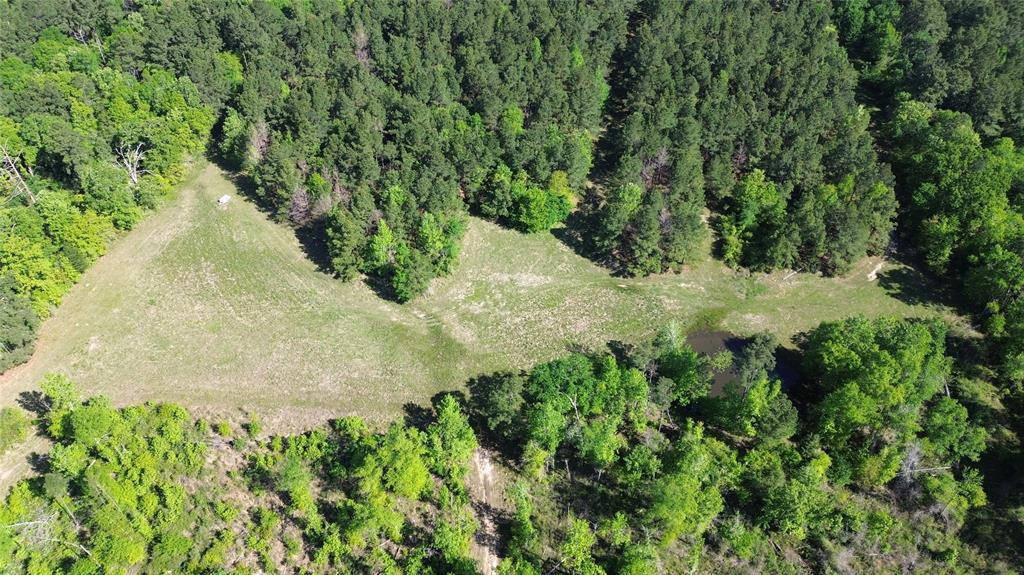 191 Fsr 587, Kennard, Texas image 5