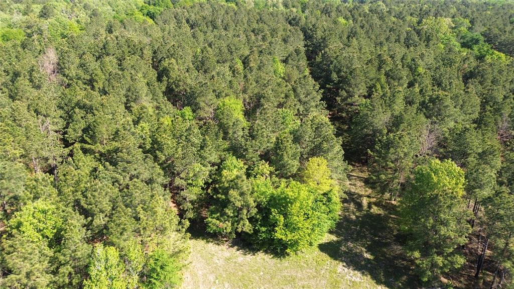 191 Fsr 587, Kennard, Texas image 32
