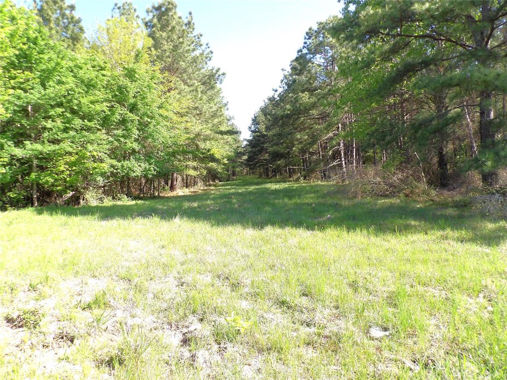 191 Fsr 587, Kennard, Texas image 12