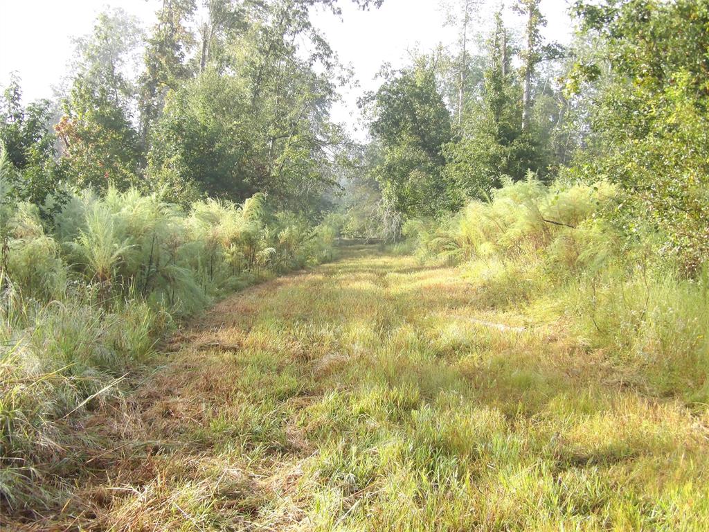 191 Fsr 587, Kennard, Texas image 8