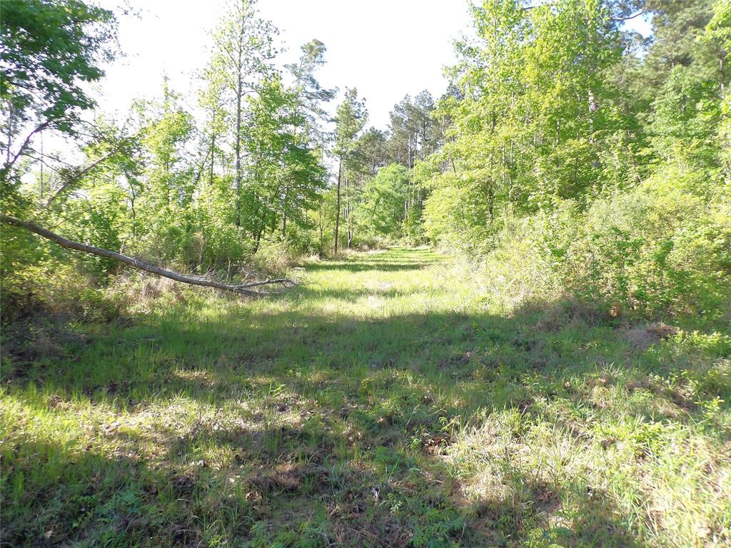 191 Fsr 587, Kennard, Texas image 14