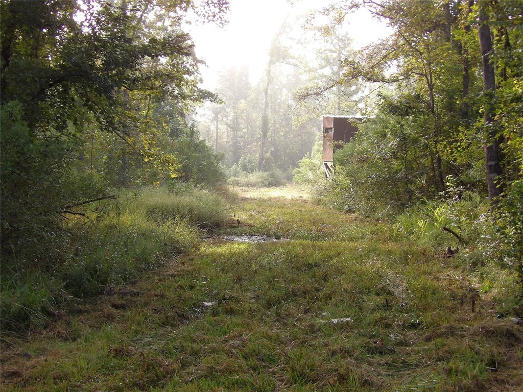 191 Fsr 587, Kennard, Texas image 11