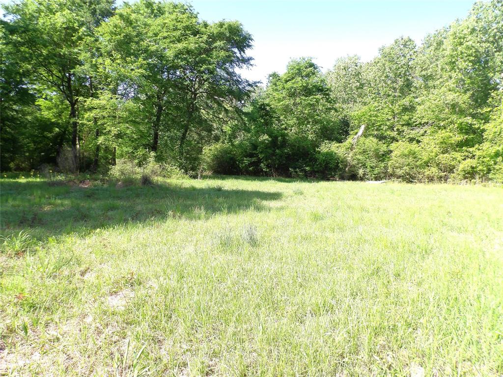 191 Fsr 587, Kennard, Texas image 8