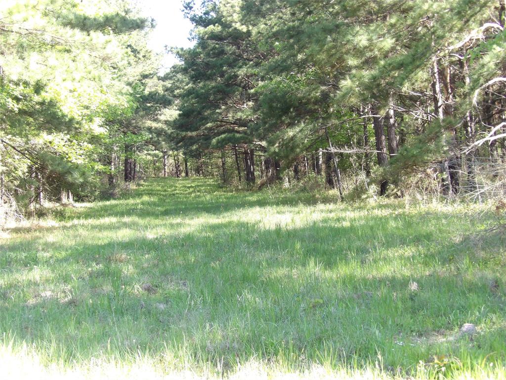 191 Fsr 587, Kennard, Texas image 13