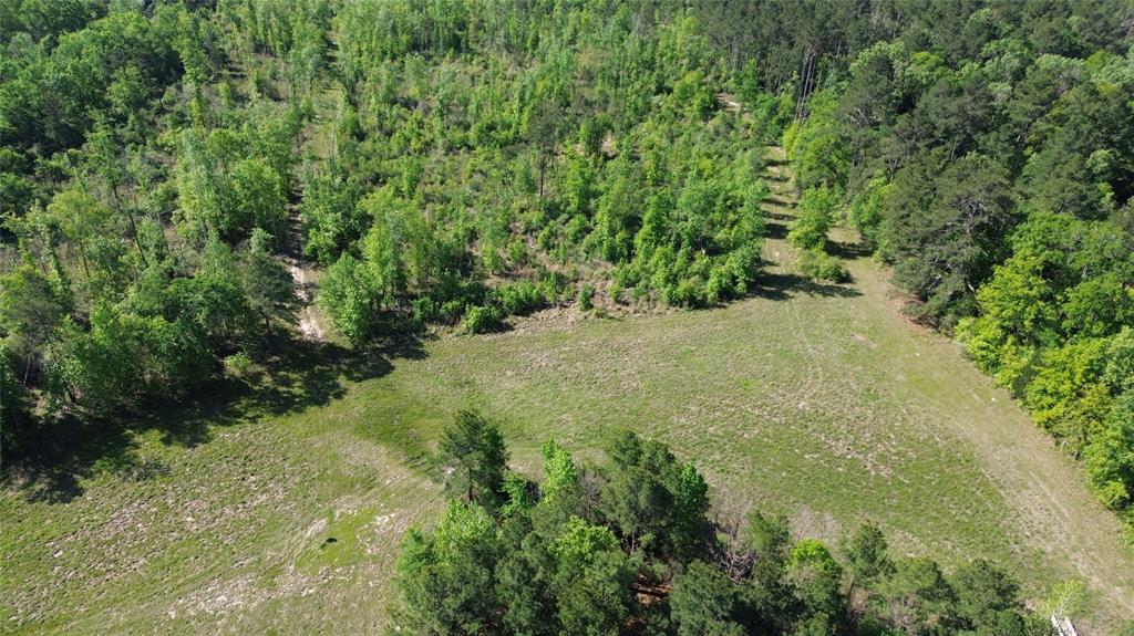 191 Fsr 587, Kennard, Texas image 21