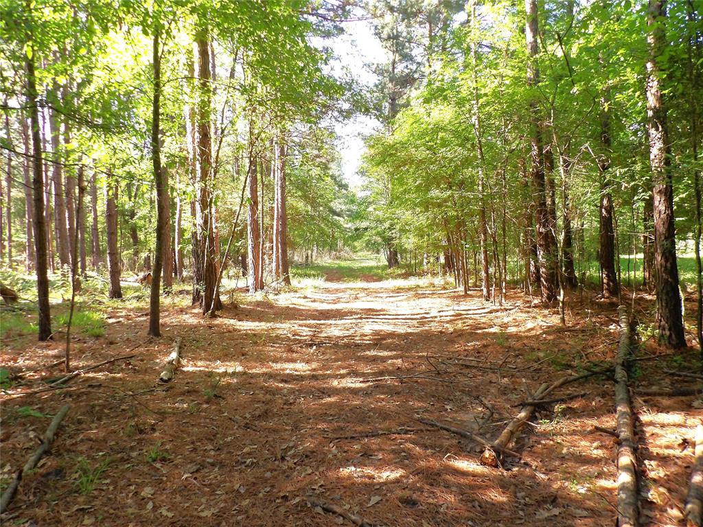 191 Fsr 587, Kennard, Texas image 9