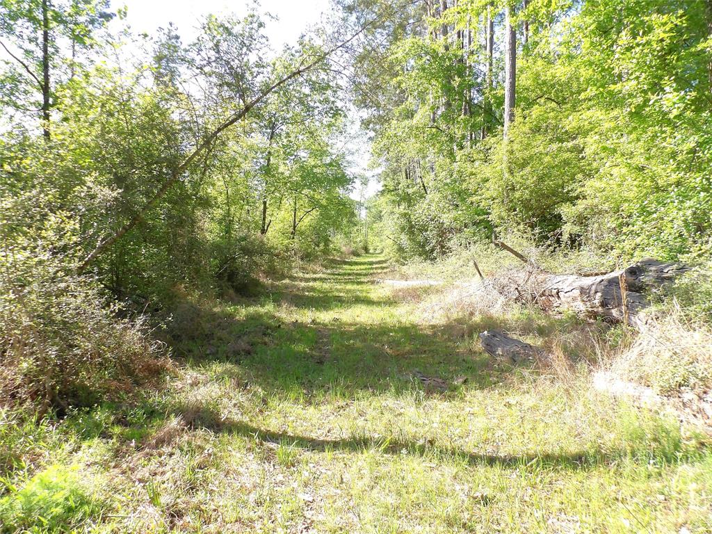 191 Fsr 587, Kennard, Texas image 15
