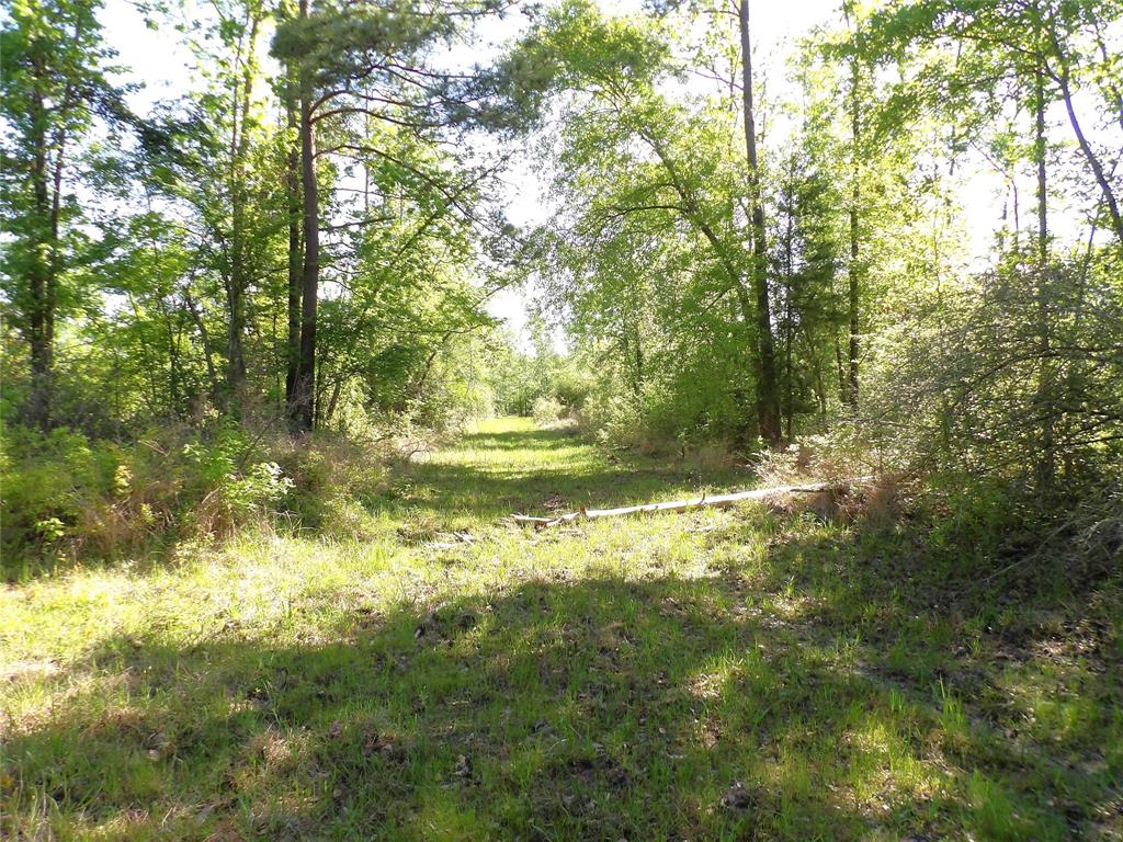191 Fsr 587, Kennard, Texas image 16