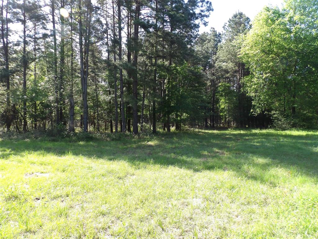 191 Fsr 587, Kennard, Texas image 6