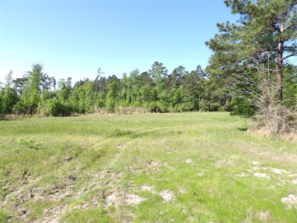 191 Fsr 587, Kennard, Texas image 19