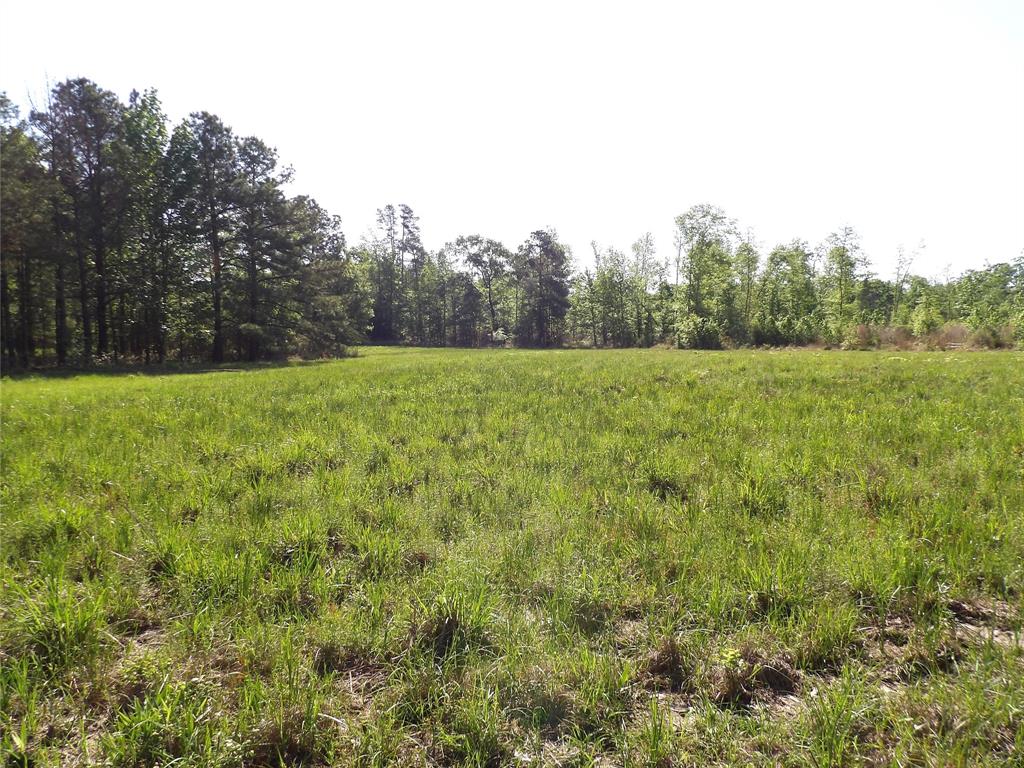 191 Fsr 587, Kennard, Texas image 11