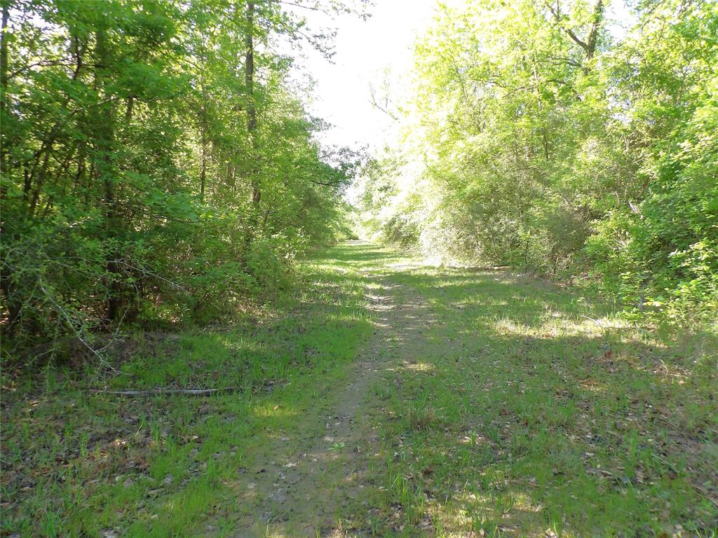 191 Fsr 587, Kennard, Texas image 17