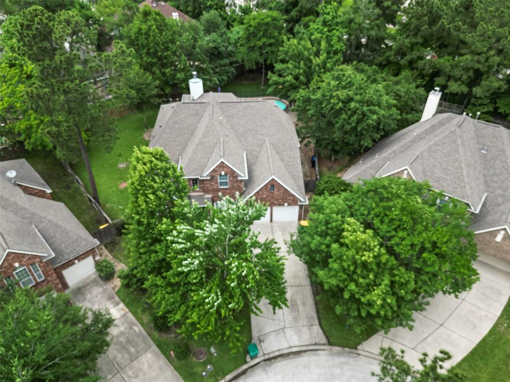 19 Beauty Bower Place, The Woodlands, Texas image 40